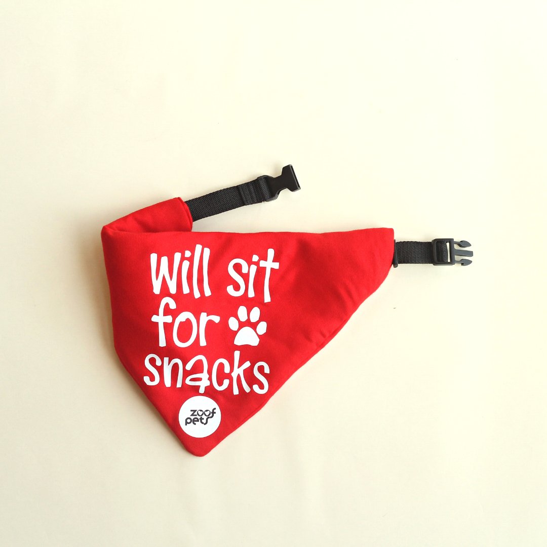 Red quirky Dog Scarf