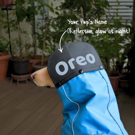 Zoof Dog Raincoat - Baarish Bae