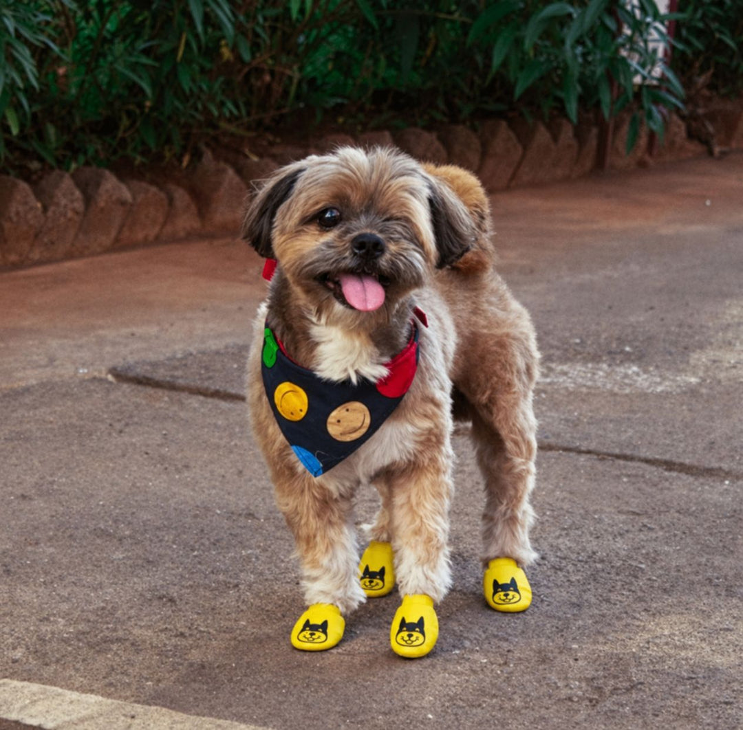 Zoof Boots - Bat Boi
