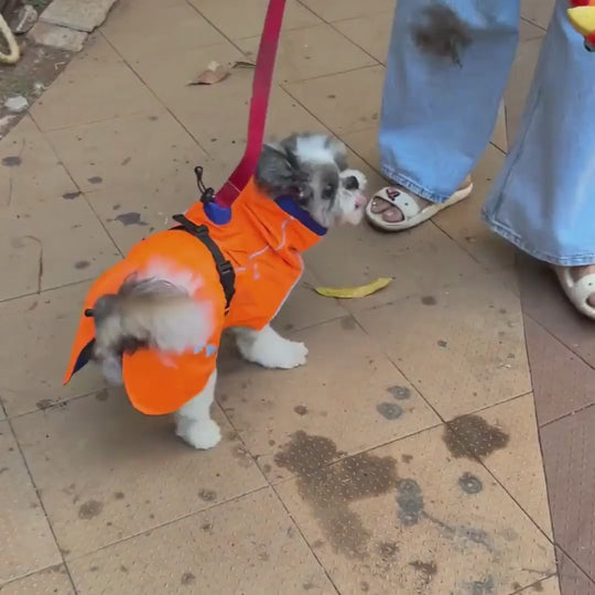 Zoof Dog Reversible Raincoat - Firecracker
