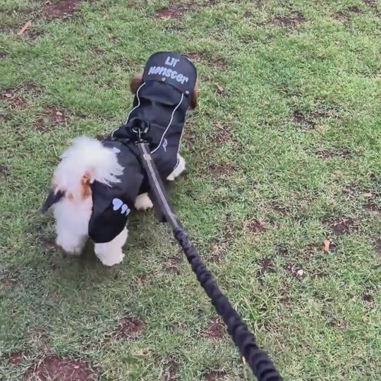 Zoof Dog Raincoat - Lil Monster