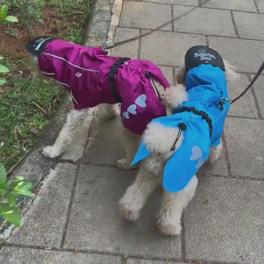 Zoof Dog Raincoat - Nawab Baby
