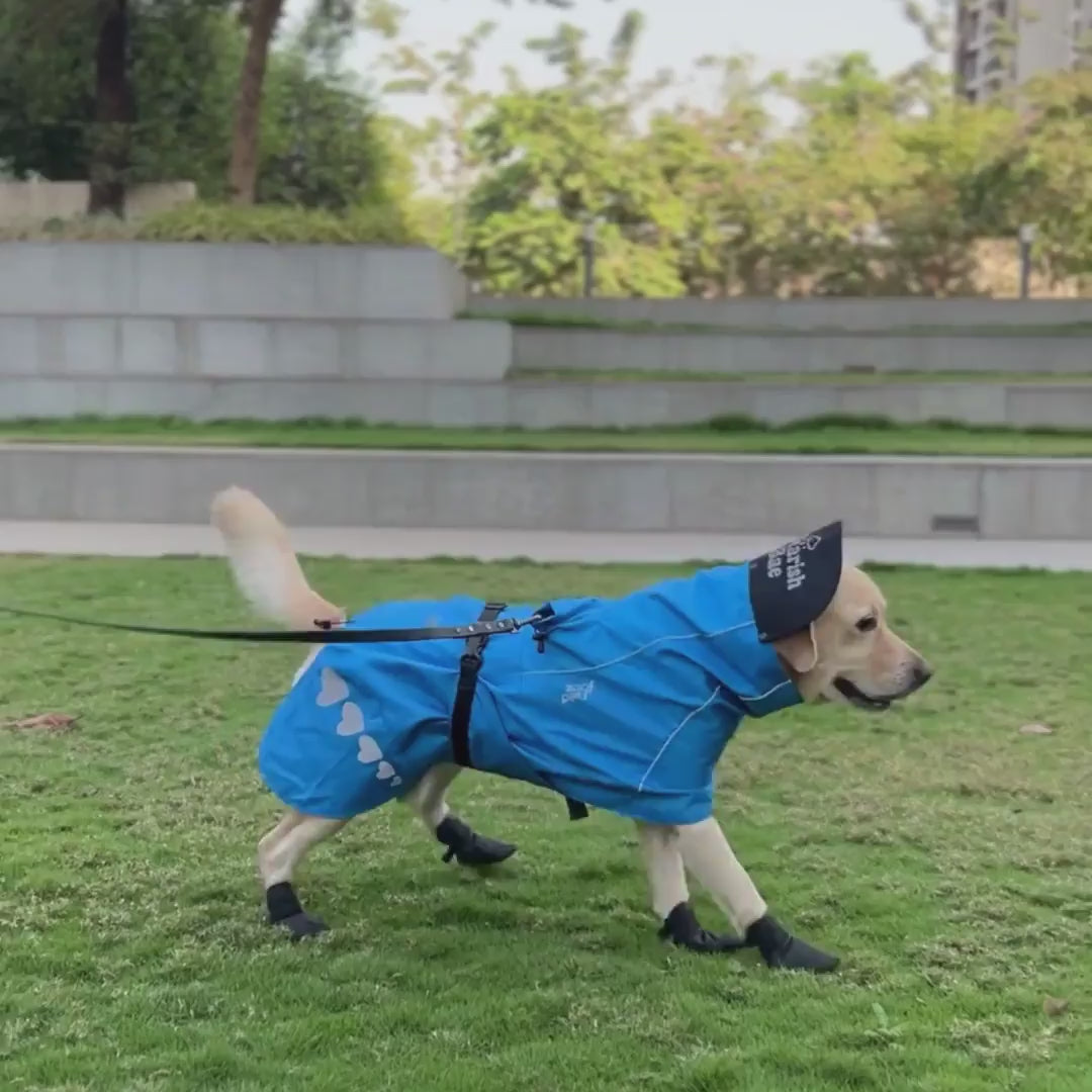 Zoof Dog Raincoat - Baarish Bae