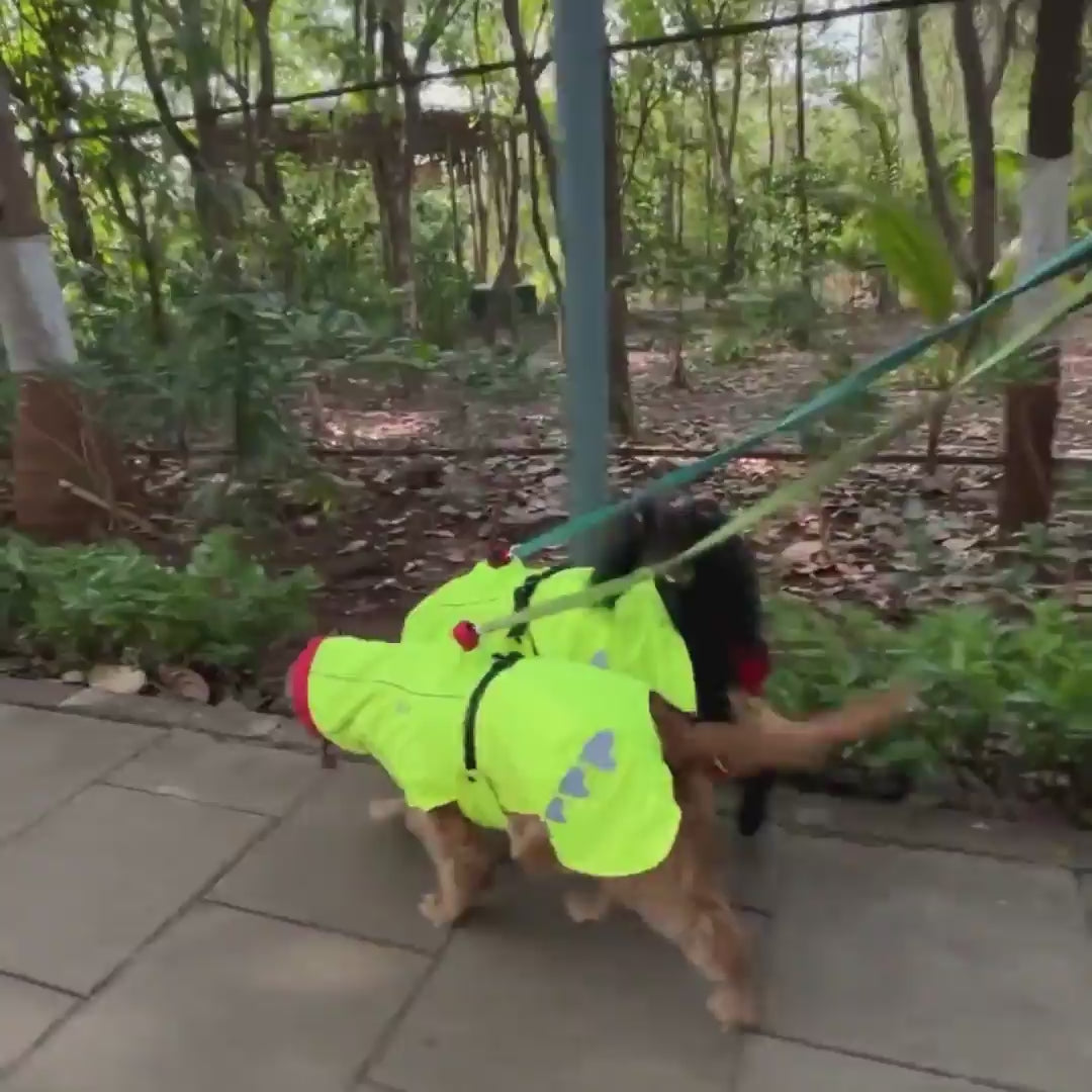 Zoof Dog Reversible Raincoat - Double Trouble