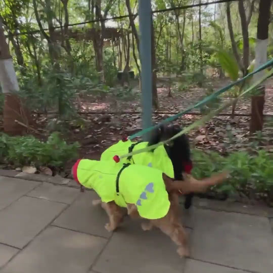 Zoof Dog Reversible Raincoat - Double Trouble