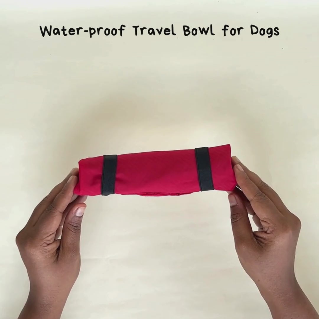 Dog travel bowl