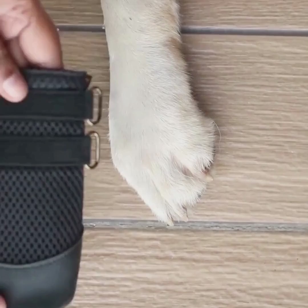 Zoof Grips - Anti Slip Indoor Shoes for Senior Dogs