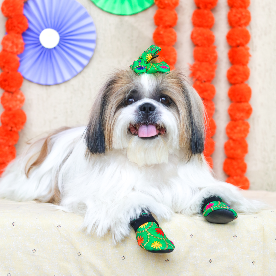 green wedding shoes for shih tzu