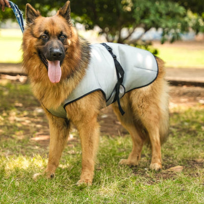 German Shepherd Cooling Jacket