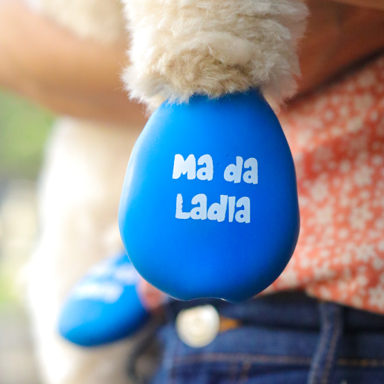 Blue dog boots