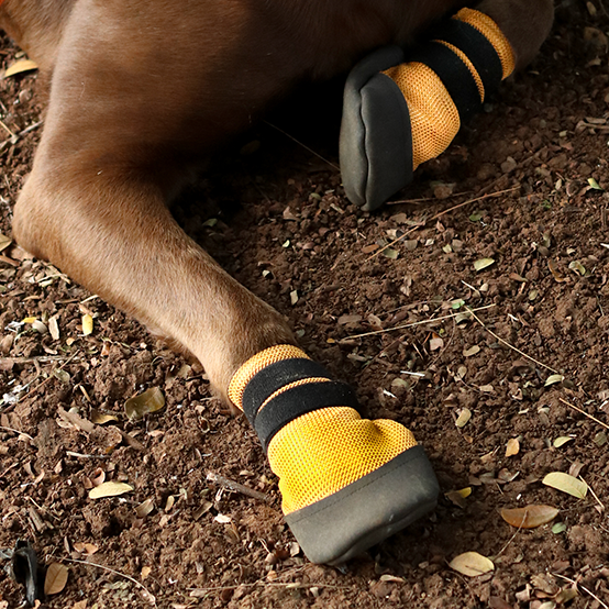 Breathable Dog Shoes