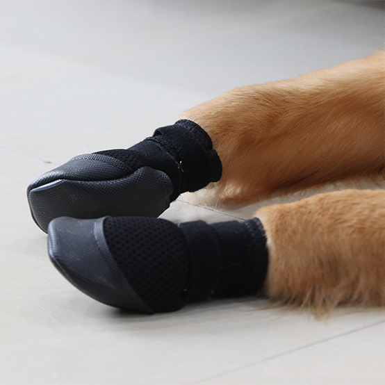 Buy Indoor Shoes for Dogs Zoof Grips Anti Slip Dog Shoes