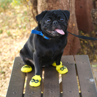 Waterproof dog boots