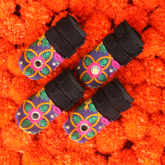 Multi color shoes for dogs