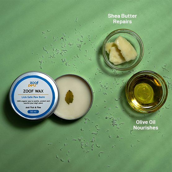 Zoof Paw Balm