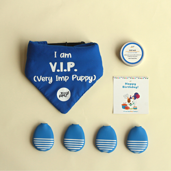 Blue Dog bandana, dog boots and paw balm