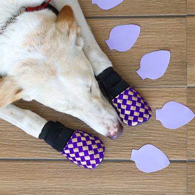 violet dog wedding shoes