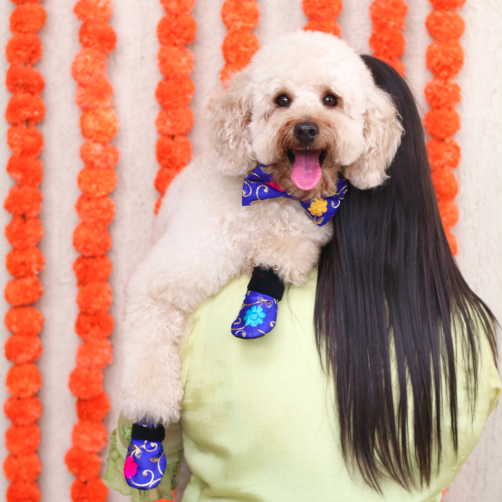 dog in wedding 