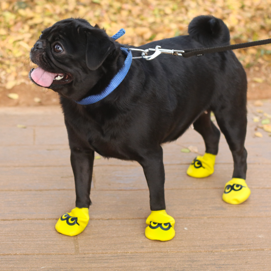 Pug waterproof boots