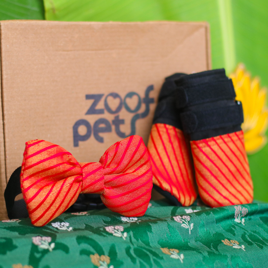 dog wedding shoes
