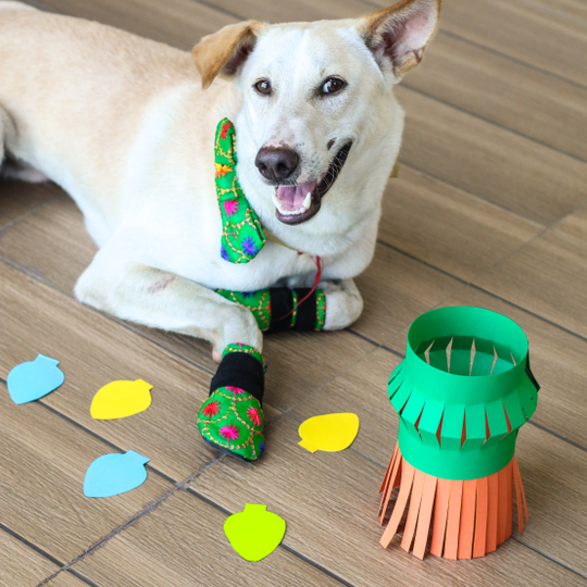 green wedding shoes for dog