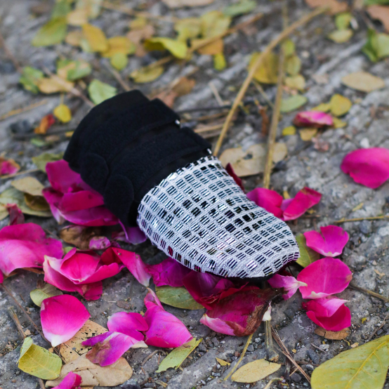 Silver dog shoes
