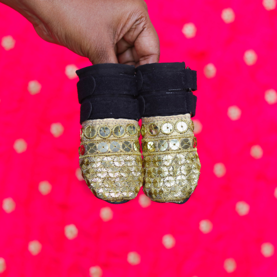 Gold wedding attire for dogs