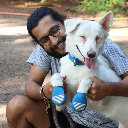 White dog in rain boots