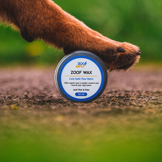 Zoof Paw Balm