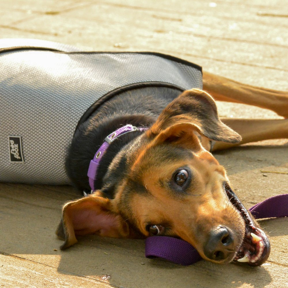Dog Summer Cooling Jacket