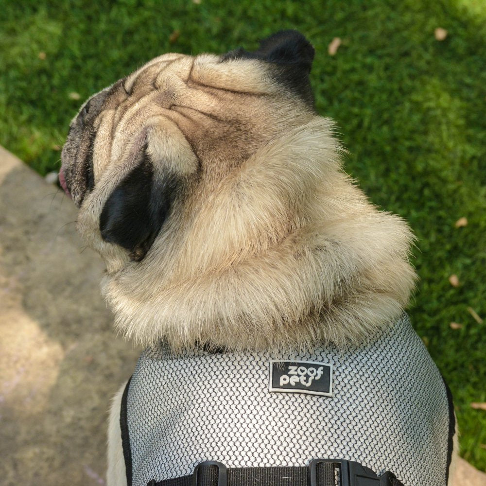 Pug heat protection