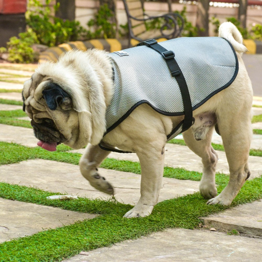 Dog Summer Cooling Vest