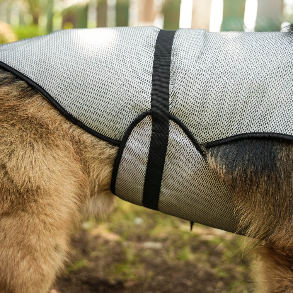Dog Heat cooling jacket