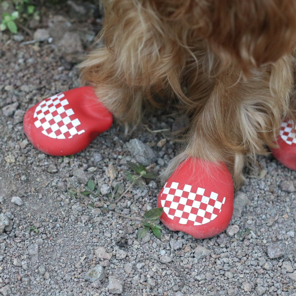Dog rain boots