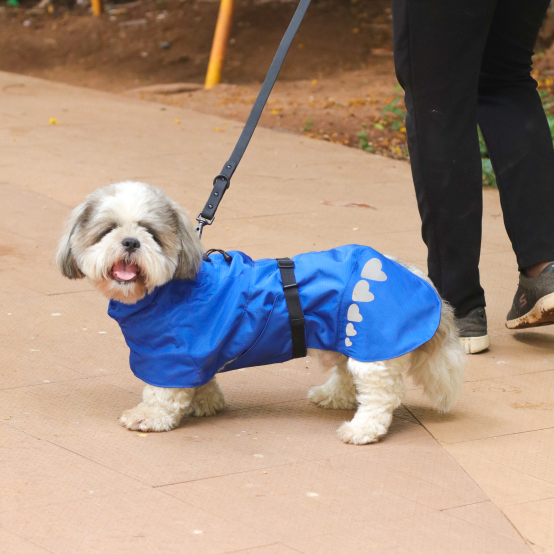 Dog raincoat that covers belly online