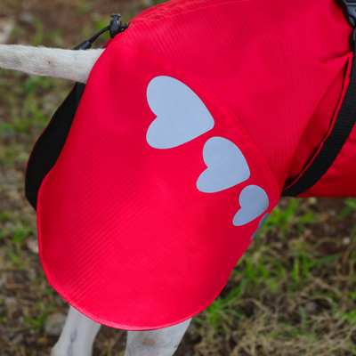 Dog Rain gear with reflective print