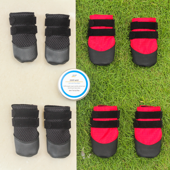 Dog Shoes