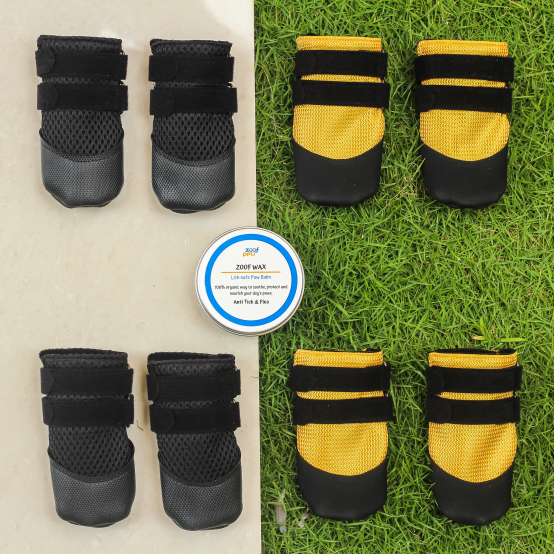 Happy Paw Box – Complete Dog Shoes Paw Care Zoof Pets