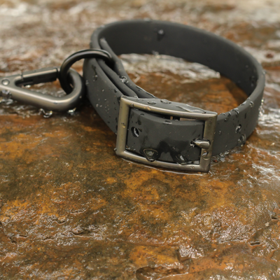 Zoof Waterproof Collar and Leash