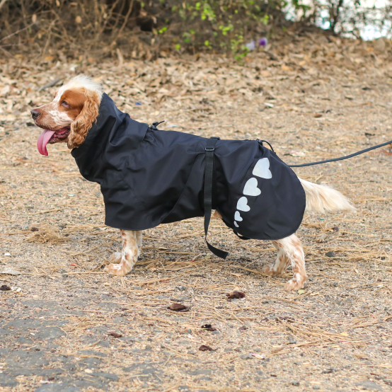 Black top dog raincoat
