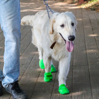 Zoof Boots - Vivids