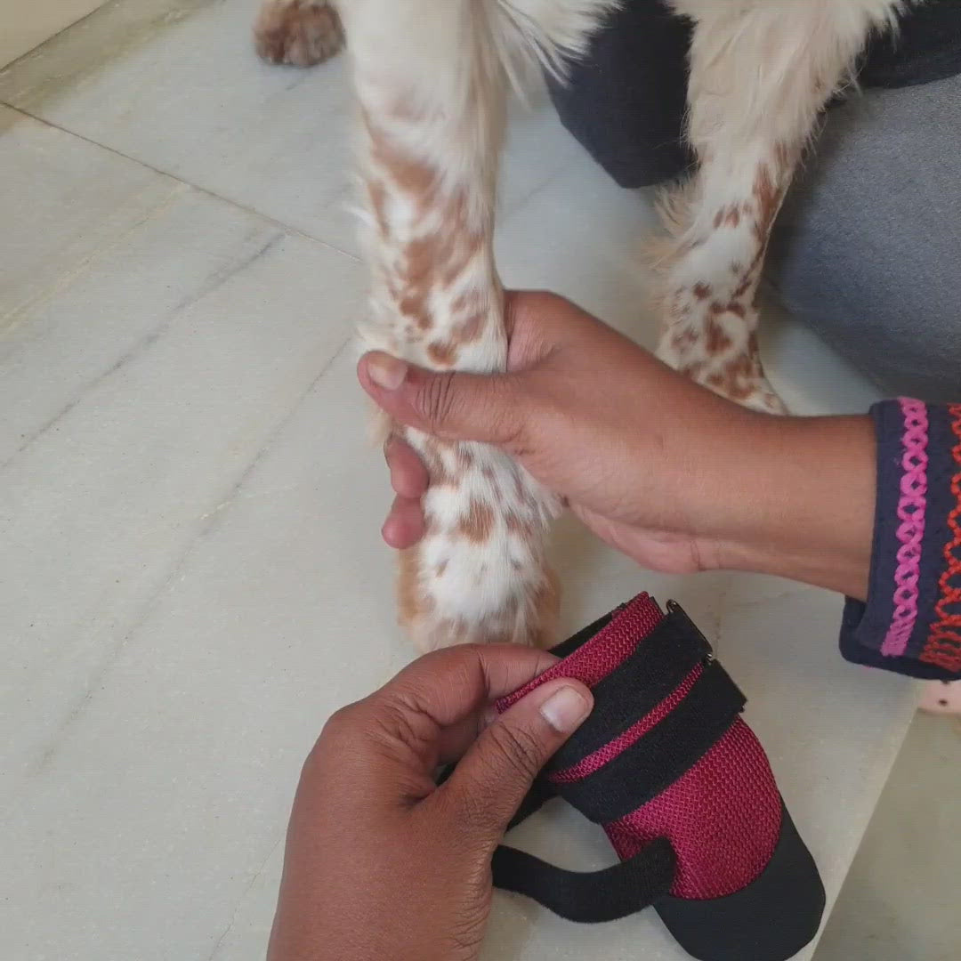 Red winter dog shoes