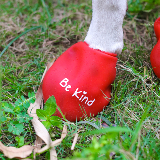 Red dog boots